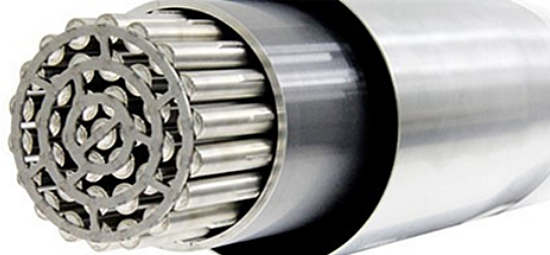 CANDU Fuel Bundle in a Fuel Channel Assembly