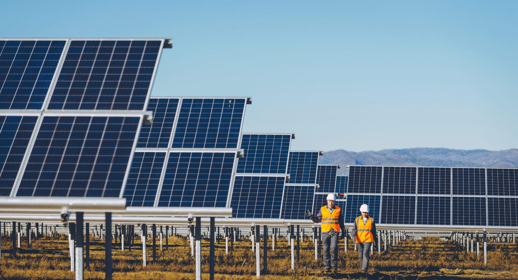 Workers walking through field of solar panels