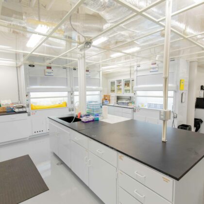 CAL3 Dosimetry Services 2754 Kinectrics 145 A1350